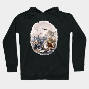 Vintage Ocean Animals; Illustration from A History of the Earth and Animated Nature by Oliver Goldsmith Hoodie